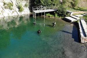 Svobodné Heřmanice Šífr