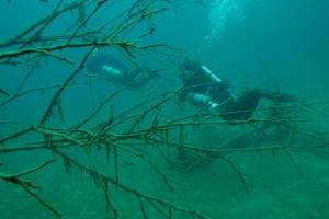 Potápění pod ledem