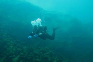 Potápění pod ledem