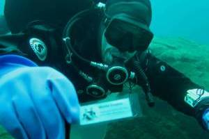 Potápění pod ledem