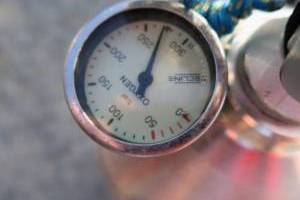 Potápění s klubem Alkyon