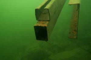 Potápění s klubem Alkyon