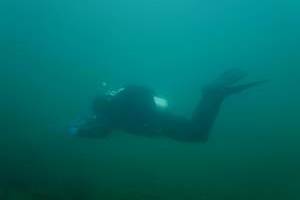 Silvestrovské potápění