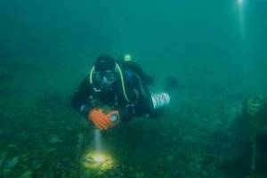 Silvestrovské potápění