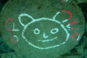 Silvestrovské potápění